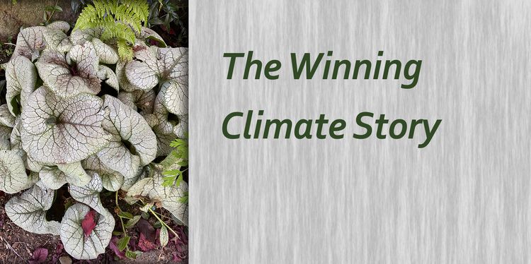 The Winning Climate Story