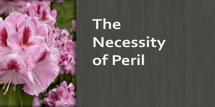 THE NECESSITY OF PERIL